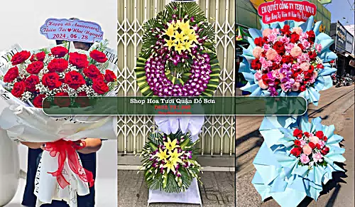 Shop Hoa Tươi Quận Đồ Sơn - Thành phố Hải Phòng (Cũ)