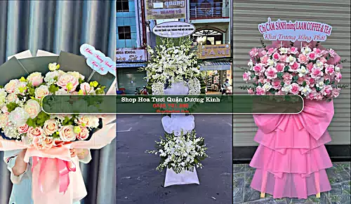 Shop Hoa Tươi Quận Dương Kinh - Thành phố Hải Phòng (Cũ)