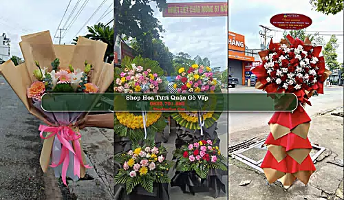 Shop Hoa Tươi Quận Gò Vấp - Thành phố Hồ Chí Minh (Cũ)