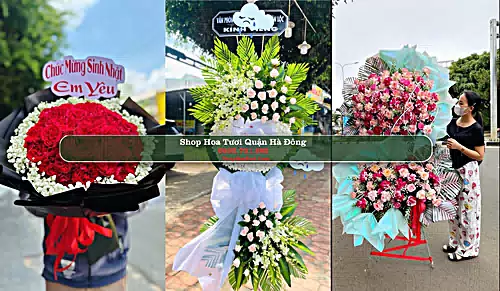 Shop Hoa Tươi Quận Hà Đông - Thành phố Hà Nội (Cũ)