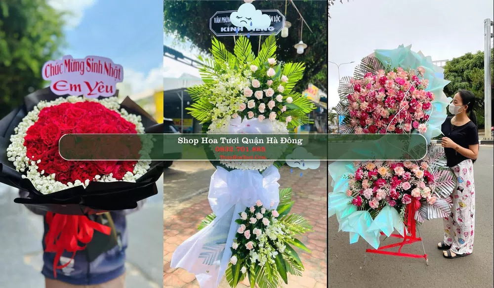 Shop Hoa Tươi Quận Hà Đông - Thành phố Hà Nội (Cũ)