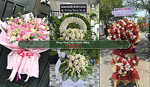 Shop Hoa Tươi Quán Hành - Huyện Nghi Lộc (Cũ)