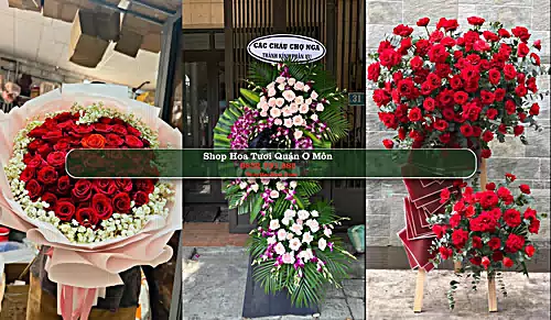 Shop Hoa Tươi Quận Ô Môn - Thành phố Cần Thơ (Cũ)