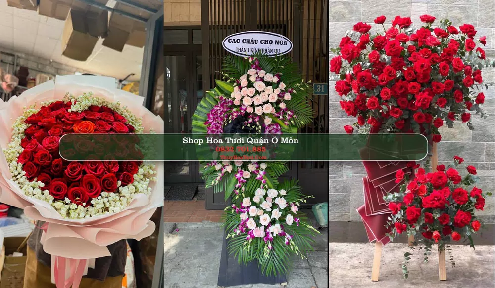 Shop Hoa Tươi Quận Ô Môn - Thành phố Cần Thơ (Cũ)