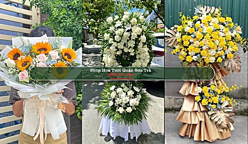 Shop Hoa Tươi Quận Sơn Trà - Thành phố Đà Nẵng (Cũ)