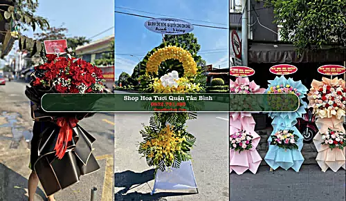 Shop Hoa Tươi Quận Tân Bình - Thành phố Hồ Chí Minh (Cũ)