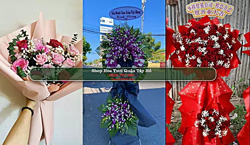 Shop Hoa Tươi Quận Tây Hồ - Thành phố Hà Nội (Cũ)