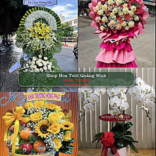 Shop Hoa Tươi Quảng Bình - Đặt Hoa Online Giao Nhanh