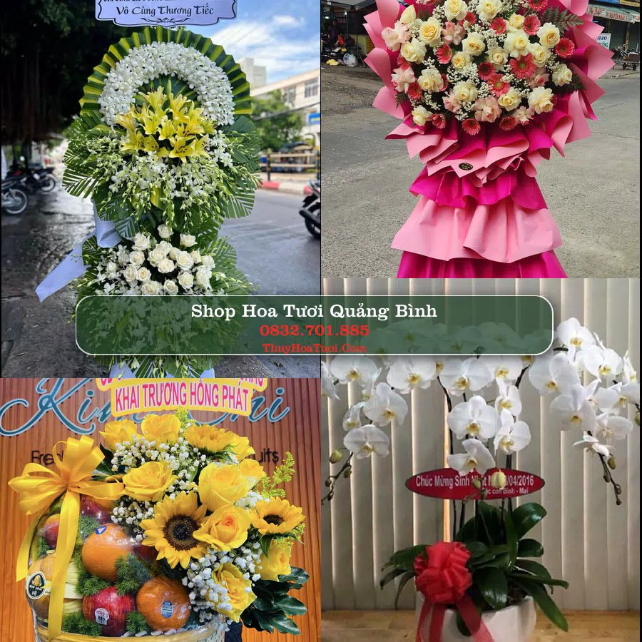 Shop Hoa Tươi Quảng Bình - Đặt Hoa Online Giao Nhanh