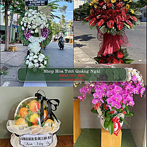 Shop Hoa Tươi Quảng Ngãi - Hoa Đẹp Cho Mọi Dịp