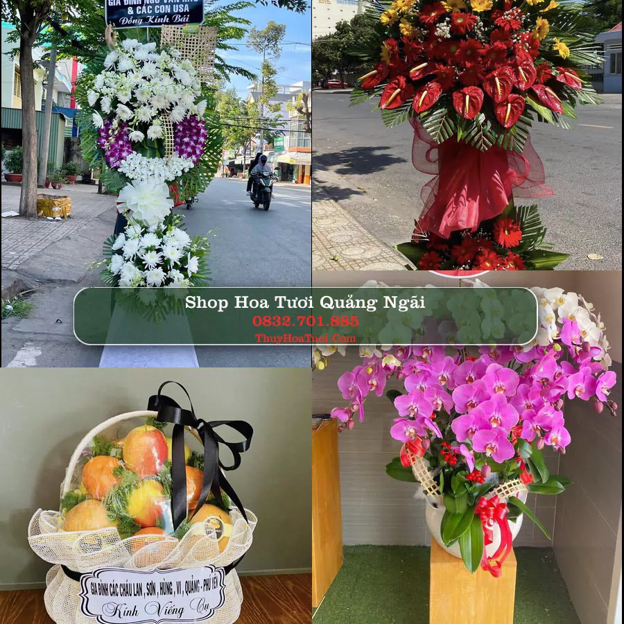 Shop Hoa Tươi Quảng Ngãi - Hoa Đẹp Cho Mọi Dịp