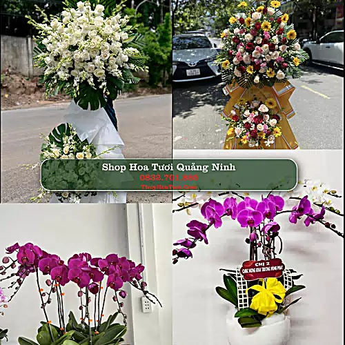 Đặt Hoa Tươi Quảng Ninh - Giao Nhanh Tận Nơi