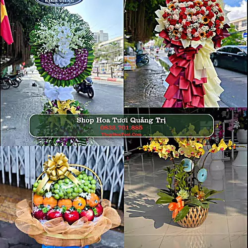 Shop Hoa Tươi Quảng Trị