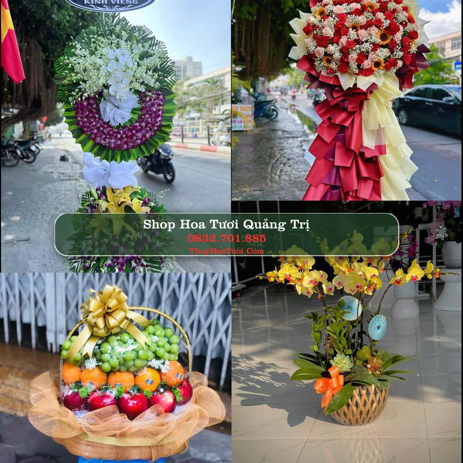 Shop Hoa Tươi Quảng Trị