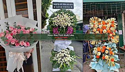 Shop Hoa Tươi Quất Lâm - Huyện Giao Thủy (Cũ)