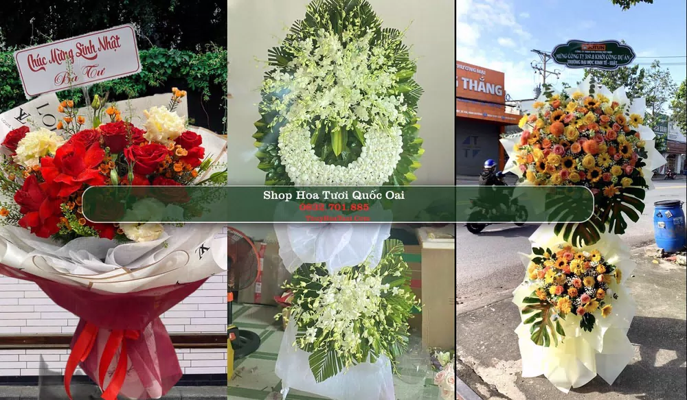 Shop Hoa Tươi Quốc Oai - Huyện Quốc Oai (Cũ)
