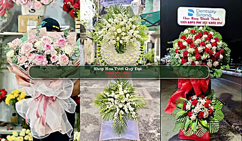 Shop Hoa Tươi Quy Đạt - Huyện Minh Hóa (Cũ)