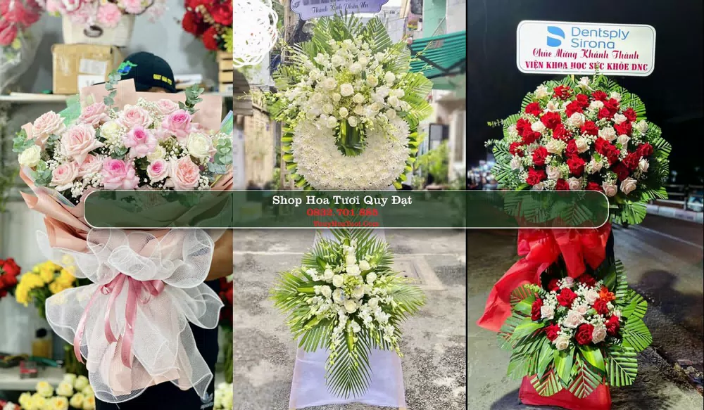 Shop Hoa Tươi Quy Đạt - Huyện Minh Hóa (Cũ)