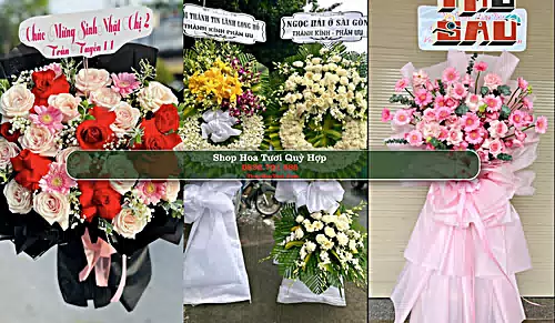 Shop Hoa Tươi Quỳ Hợp - Huyện Quỳ Hợp (Cũ)