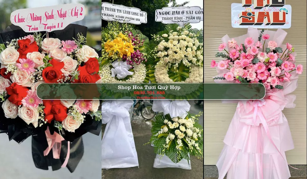 Shop Hoa Tươi Quỳ Hợp - Huyện Quỳ Hợp (Cũ)