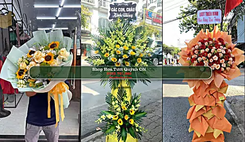 Shop Hoa Tươi Quỳnh Côi - Huyện Quỳnh Phụ (Cũ)