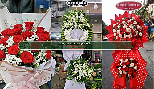 Shop Hoa Tươi Rạch Gốc - Huyện Ngọc Hiển (Cũ)