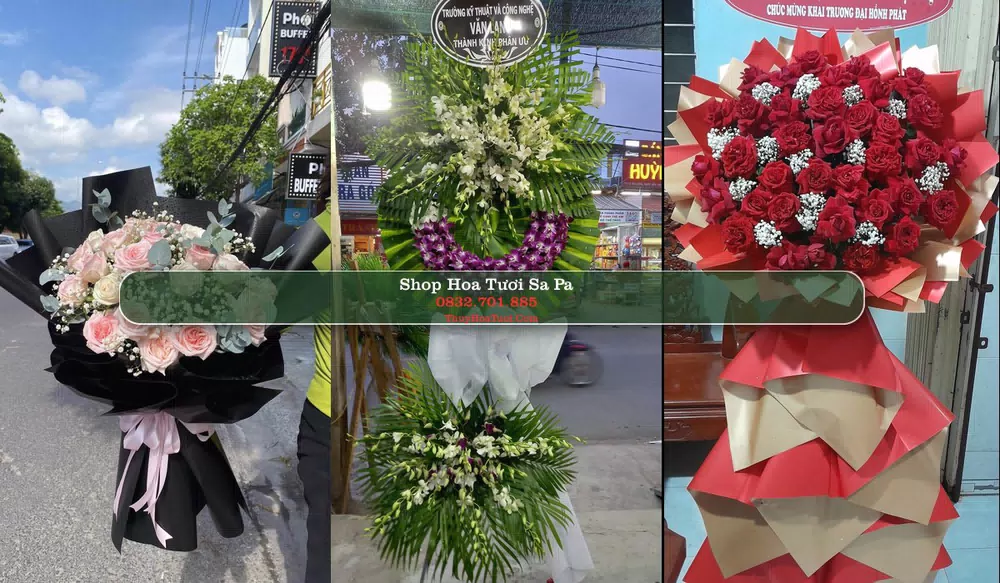 Shop Hoa Tươi Sa Pa - Lào Cai (Cũ)