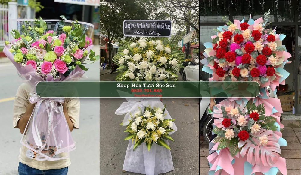 Shop Hoa Tươi Sóc Sơn - Huyện Hòn Đất (Cũ)