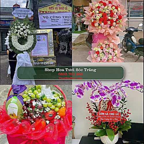 Shop Hoa Tươi Sóc Trăng - Điện Hoa Giao Tận Nơi