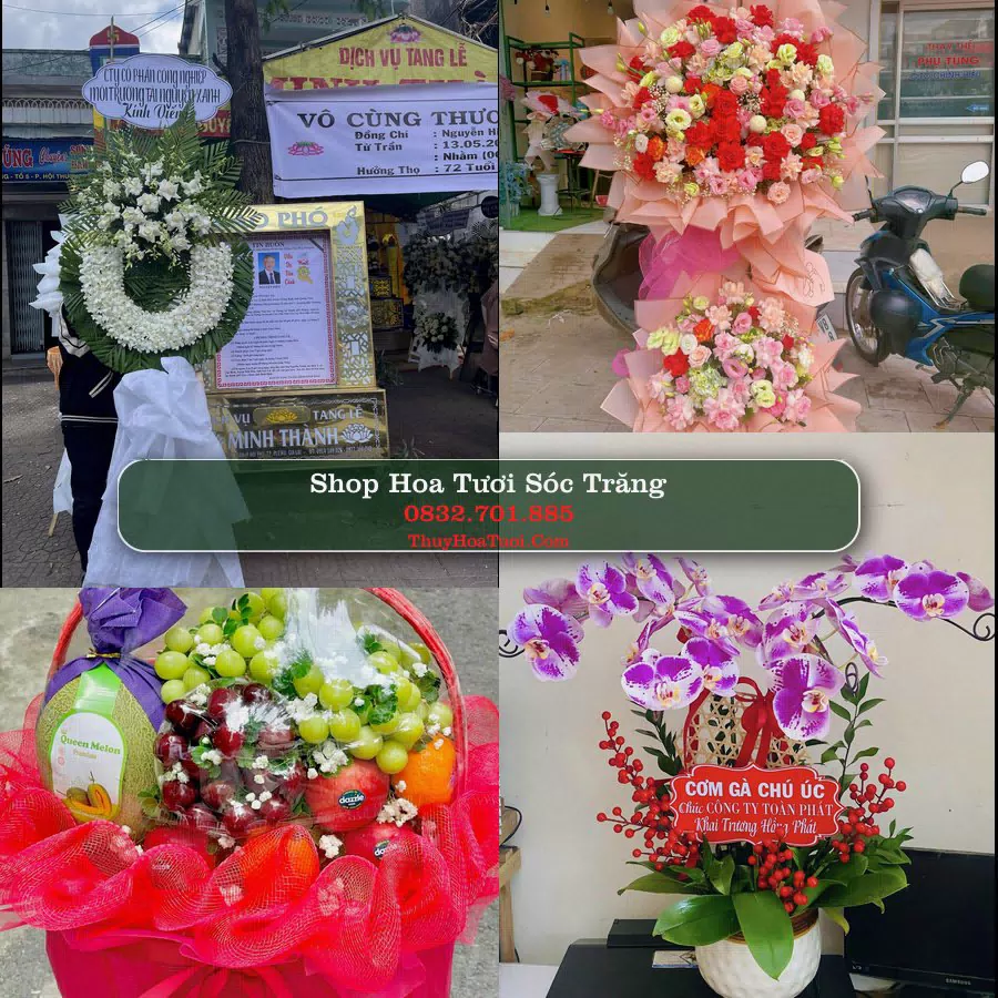 Shop Hoa Tươi Sóc Trăng - Điện Hoa Giao Tận Nơi