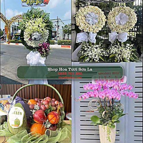 Điện Hoa Sơn La - Shop Hoa Tươi Uy Tín