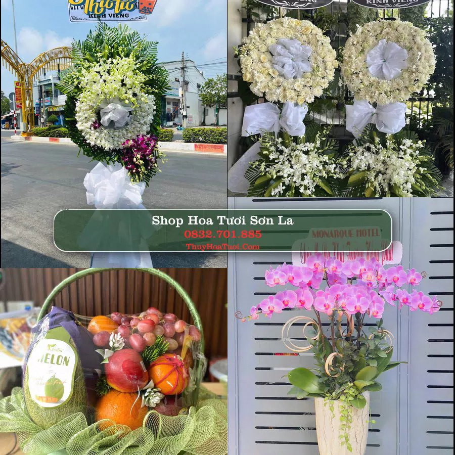 Điện Hoa Sơn La - Shop Hoa Tươi Uy Tín