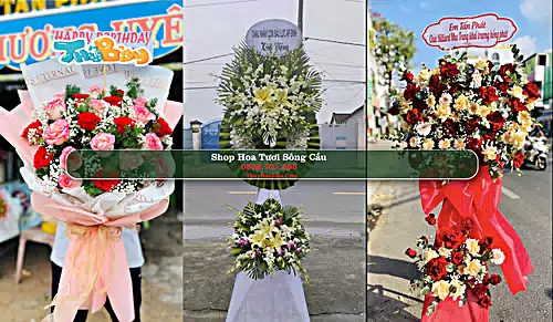 Shop Hoa Tươi Sông Cầu - Phú Yên (Cũ)
