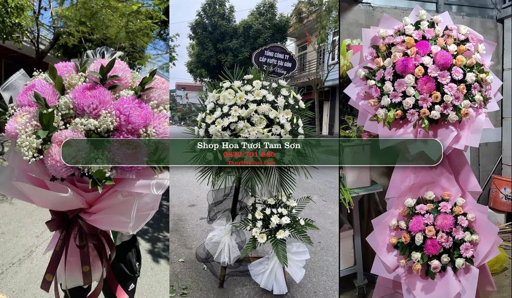 Shop Hoa Tươi Tam Sơn - Huyện Sông Lô (Cũ)