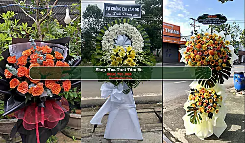 Shop Hoa Tươi Tầm Vu - Huyện Châu Thành (Cũ)
