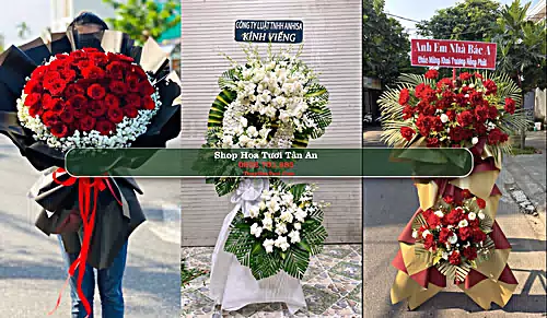 Shop Hoa Tươi Tân An - Huyện Yên Dũng (Cũ)