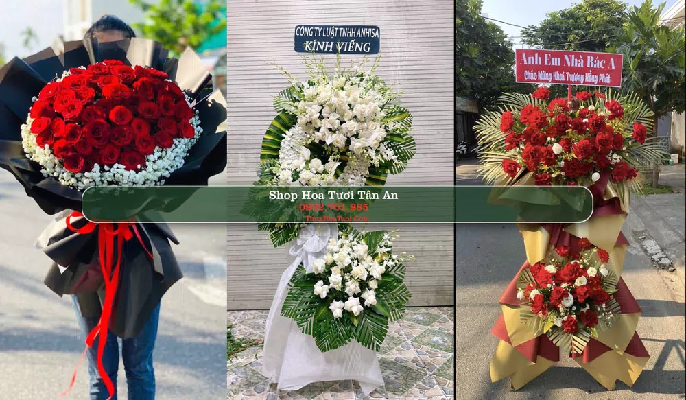 Shop Hoa Tươi Tân An - Huyện Yên Dũng (Cũ)