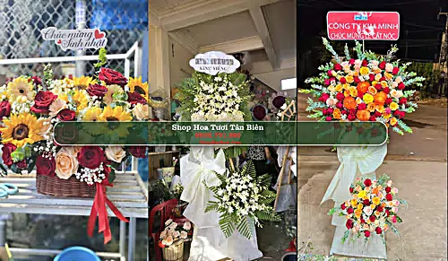 Shop Hoa Tươi Tân Biên - Huyện Tân Biên (Cũ)