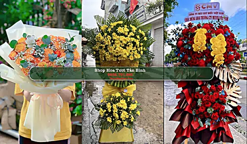 Shop Hoa Tươi Tân Bình - Huyện Bắc Tân Uyên (Cũ)