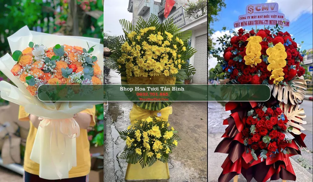 Shop Hoa Tươi Tân Bình - Huyện Bắc Tân Uyên (Cũ)