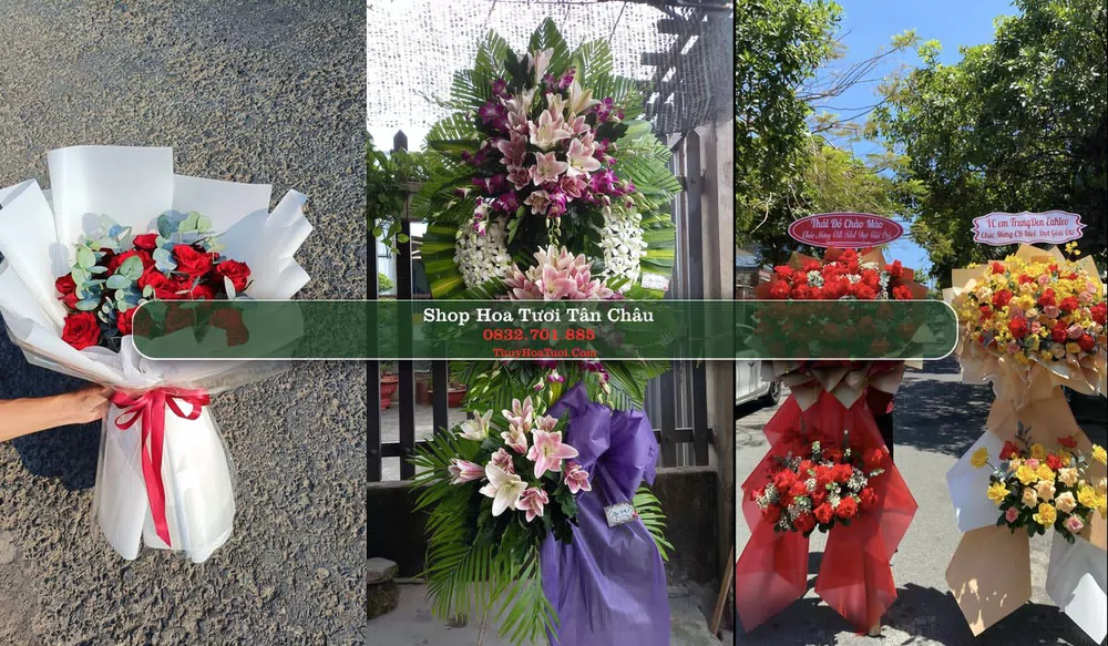 Shop Hoa Tươi Tân Châu - An Giang (Cũ)