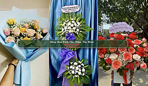 Shop Hoa Tươi Tân Châu - Huyện Tân Châu (Cũ)