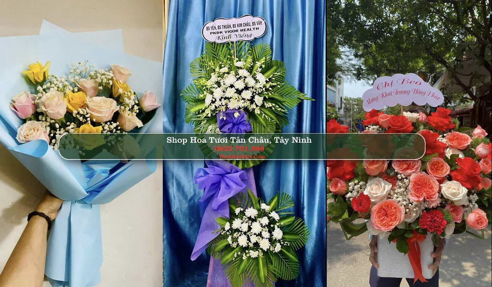 Shop Hoa Tươi Tân Châu - Huyện Tân Châu (Cũ)