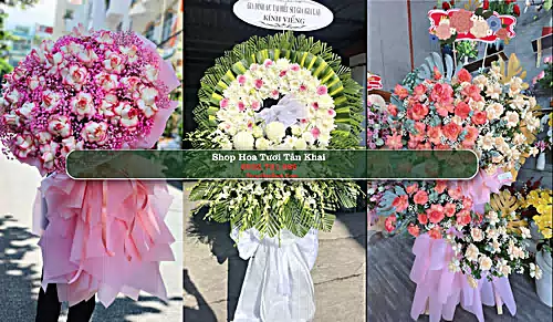 Shop Hoa Tươi Tân Khai - Huyện Hớn Quản (Cũ)