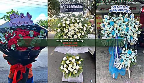 Shop Hoa Tươi Tân Kỳ - Huyện Tân Kỳ (Cũ)