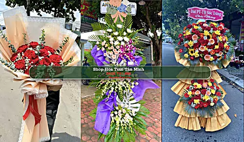 Shop Hoa Tươi Tân Minh - Huyện Hàm Tân (Cũ)