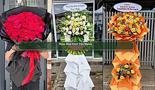 Shop Hoa Tươi Tân Nghĩa - Huyện Hàm Tân (Cũ)
