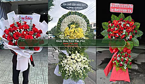 Shop Hoa Tươi Tân Phú - Huyện Đồng Phú (Cũ)