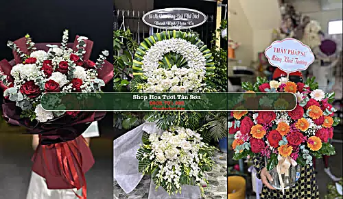 Shop Hoa Tươi Tân Sơn - Huyện Ninh Sơn (Cũ)