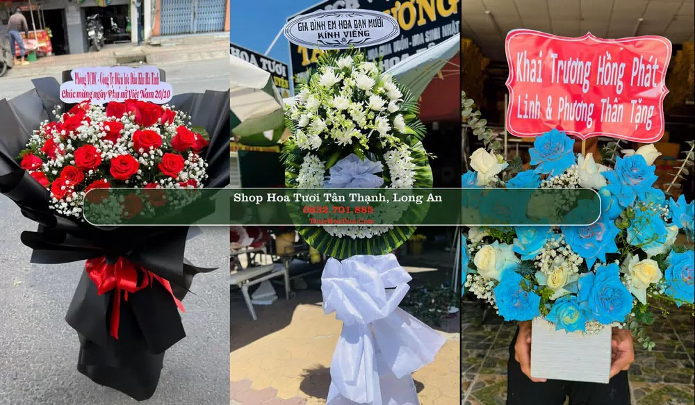 Shop Hoa Tươi Tân Thạnh - Huyện Tân Thạnh (Cũ)